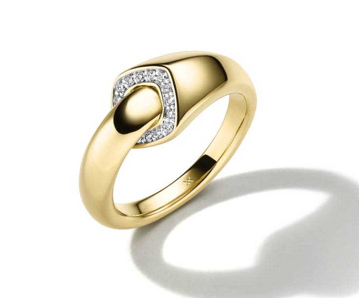 Wilh. Müller Ring 145529
